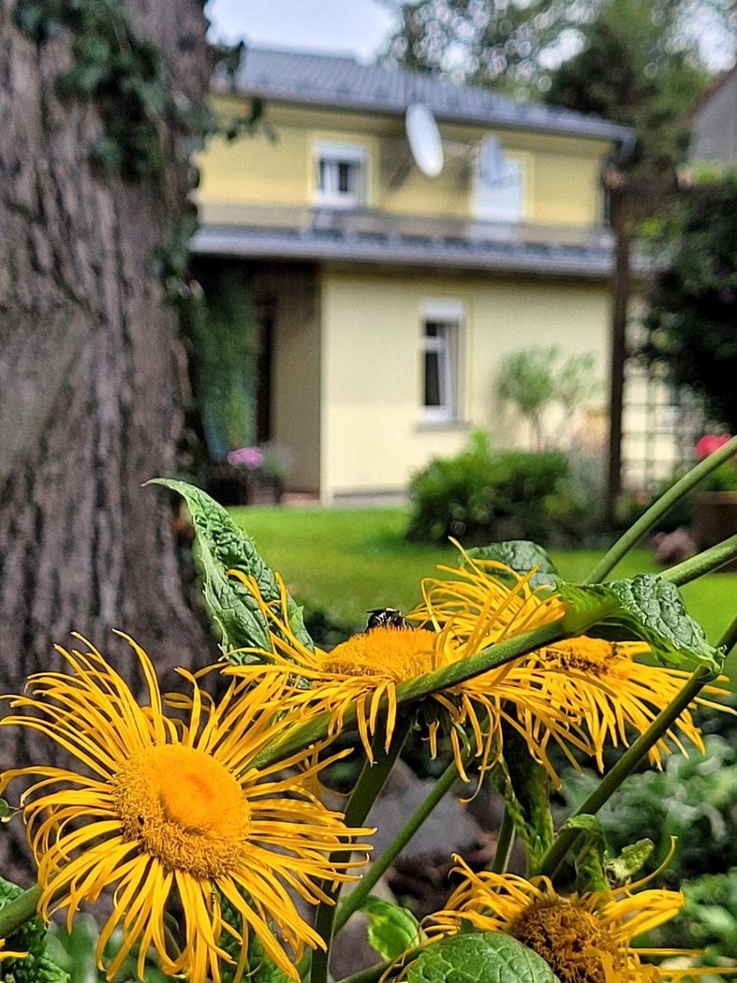 Apartment Gosciniec Pod Bukiem Swieradow-Zdroj